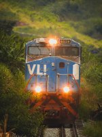 VLI 6028